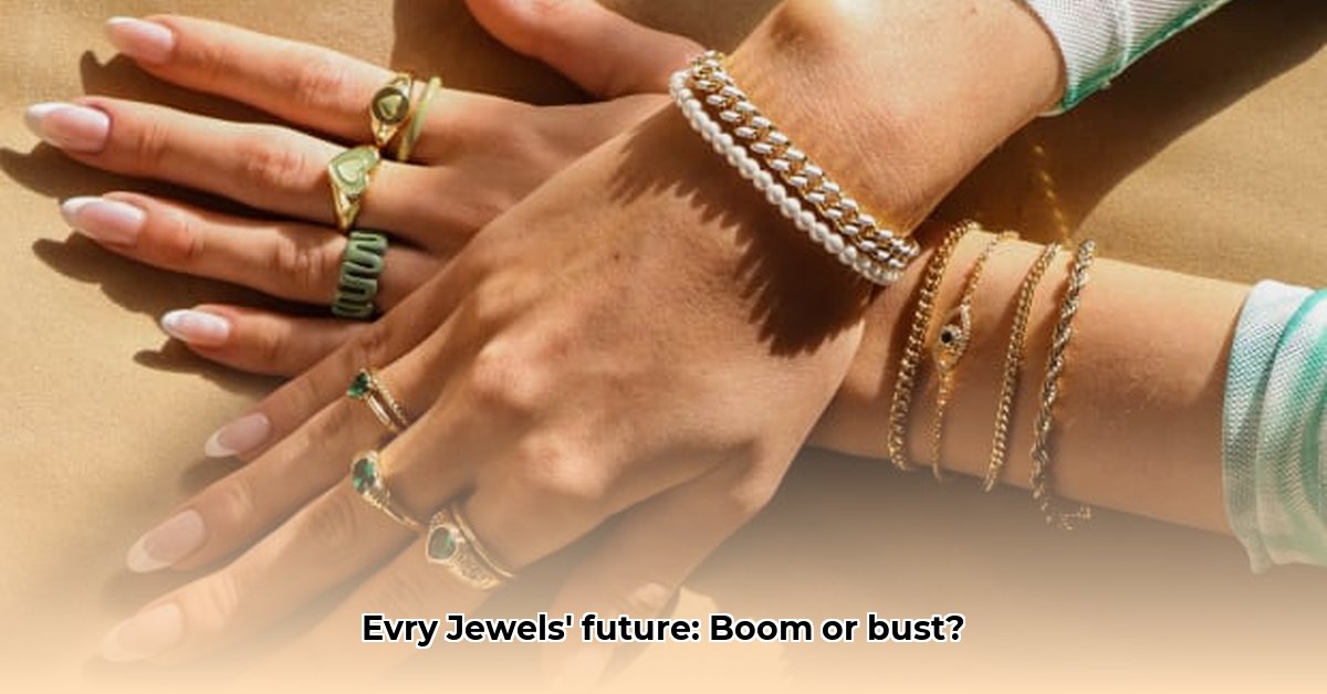 evry-jewels-net-worth